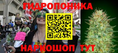 ECSTASY Волжск